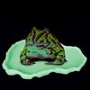 Terrarium Bowls Reptile Food Bowl Worm Dish for Turtle Small Plastic Food Water Bowl for Anoles Bearded Dragons Scorpion