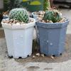 Planter Tools Plant Pots Gardening Nursery Pots for Herb Succulents