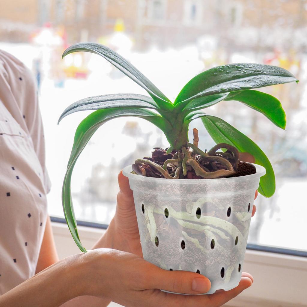 Orchid Flower Pot Breathable Clear Orchid Planting Pot with Holes for Indoor Outdoor