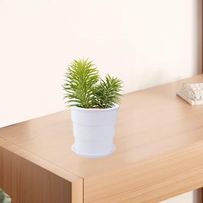Flower Plant Pot Minimalist Portable Versatile Use Small Planter with Drainage Hole and Saucer for