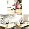 Butterfly Orchid Artificial Plant With Plastic Base For Home Decor And Photography Props