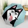 1PC Husky Dog Automatic Windproof Umbrella 8 Rib Portable Folding Black Iron Frame for Outdoor, Beach, Travel, Beach Umbrella,S45