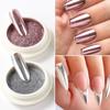 Gold Silver Chrome Nail Powder White Nail Powder Holographic Nail Powder Salon Use