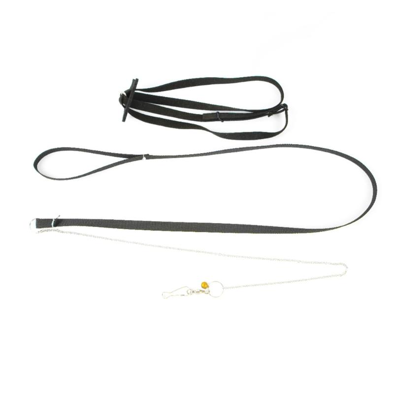 

Поводок для рептилий, регулируемая тяговая веревка для черепахи, ящерицы, бородатого дракона, аксессуары, мягкие и безопасные для маленьких чёрный