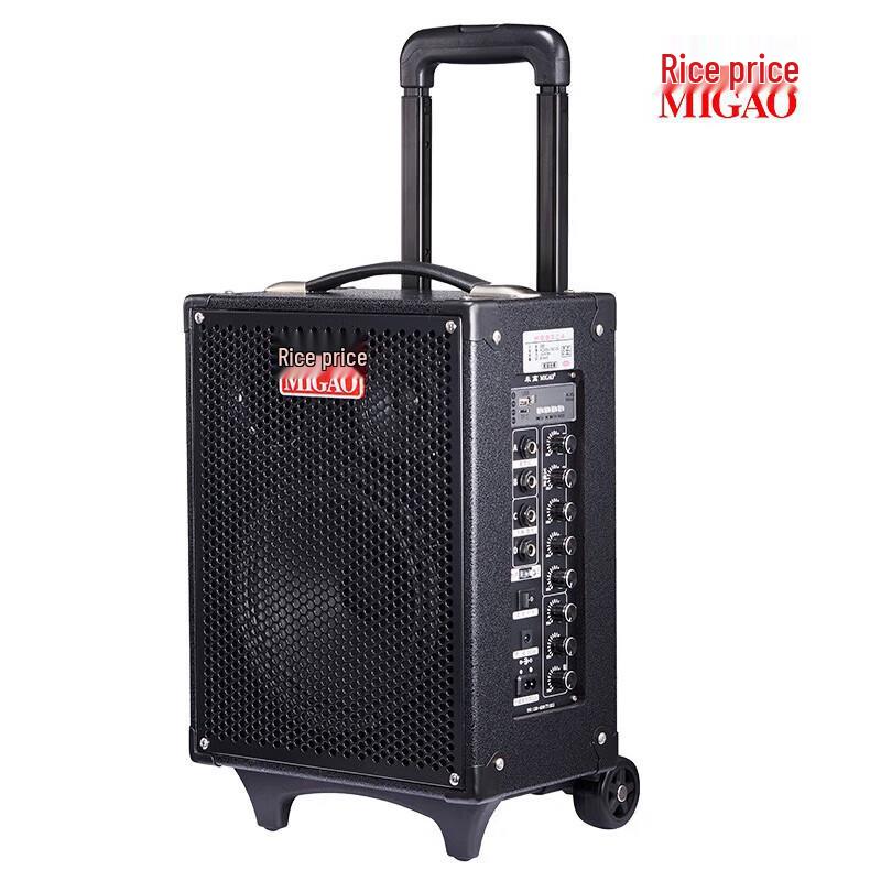 MiGao MG820A-LI Portable Outdoor Instrument Speaker