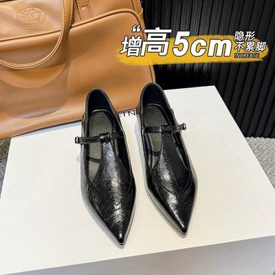 Temperament Pointed Single Shoes Women's New Shoes Autumn Women's Low Heels with Skirts Mary Jane