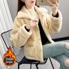 Women's Faux Lamb Wool Plush Coat - Korean-Style Loose Short Jacket for Autumn/Winter