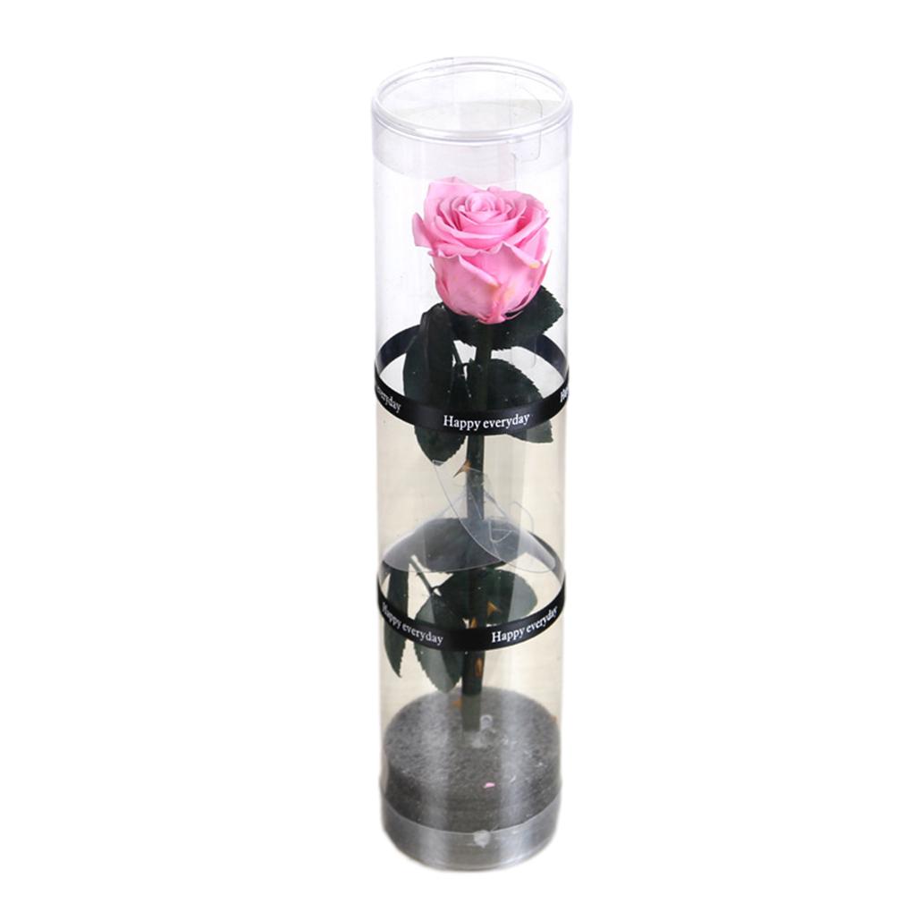 

Romantic Eternal Flower Elegant Maintenance-free Expression Of Love Wonderful Gifts Blended Eternal Roses, red
