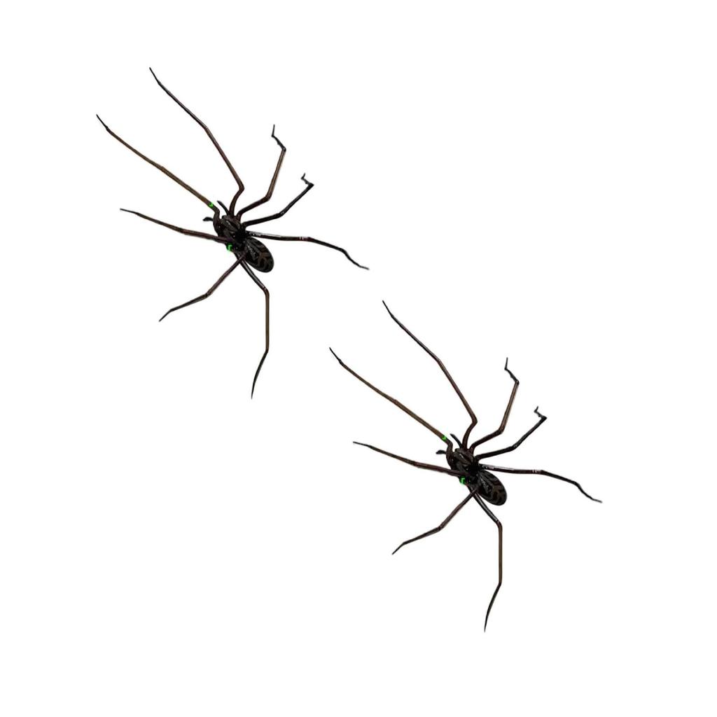 Spider Refrigerator Sticker, Realistic Spider Magnet, Cute Spider Design Decoration Refrigerator, Detachable Magnetic Stickers