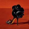 Scarpe da donna – Sandali
