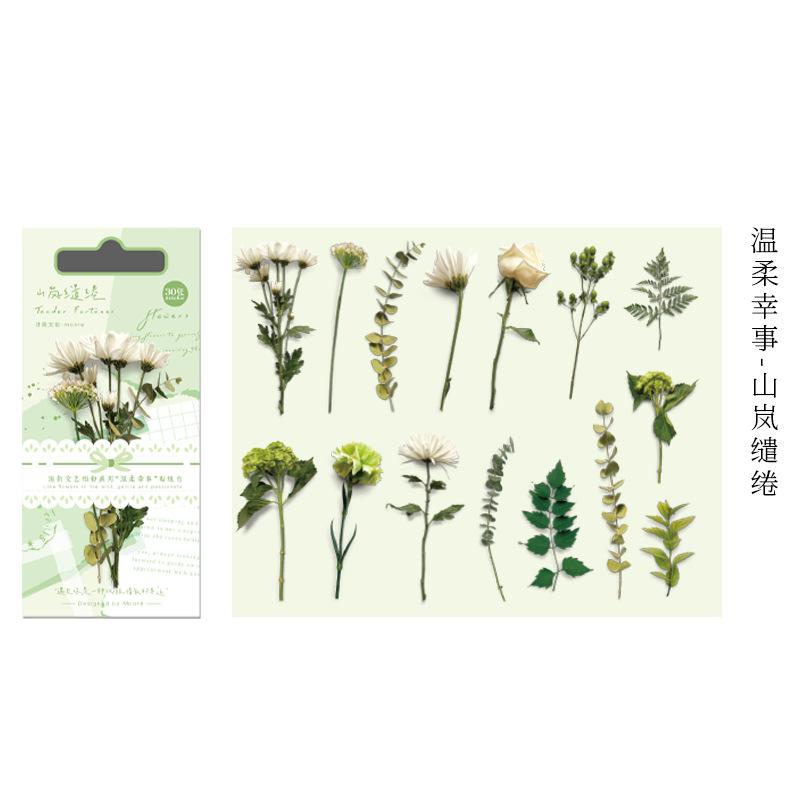 

30Pcs Vintage Irregular Plant Floral Stickers DIY Craft Scrapbook Journal Diary Decor Supplies