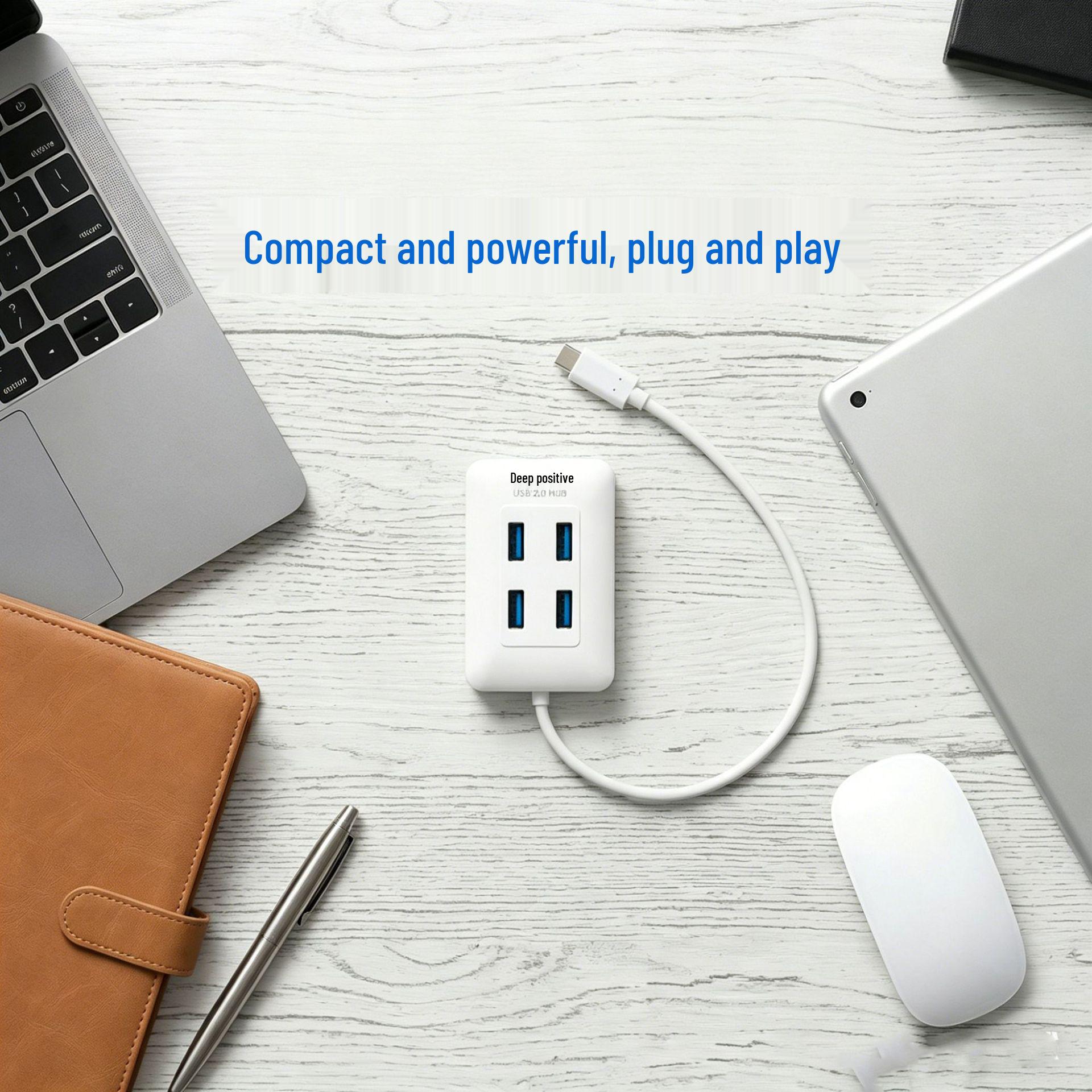 4-портовый USB 2.0 Type-C концентратор-разветвитель, Черно-белый белый