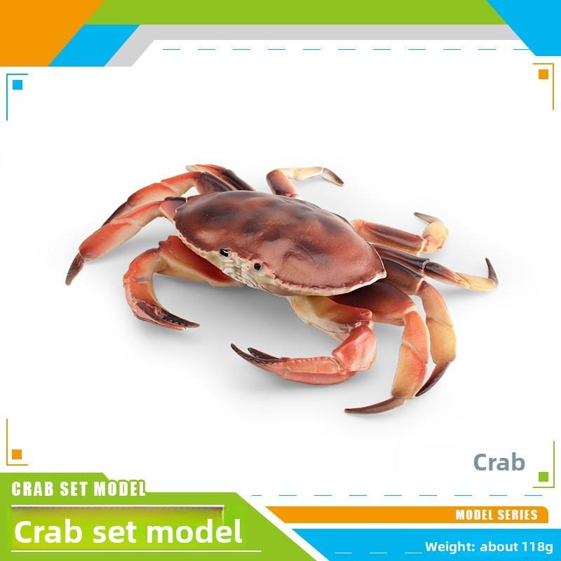 Crab Marine Animal Static Model Toy With Realistic Design For Decor Desktop