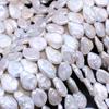 1String, 10×20mm Baroque Natural Freshwater Flat Drop Shape Pearls 36cm Loose Beads for Handmade Jewelry Craft Supplies, DIY Holiday Gifts