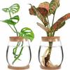 Wooden Base Glass Planter Thick Flower Arrangement Vase Modern Style Vase Rack  Home Decoration