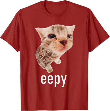 Eepy Cat Silly Sleepy Cat Meme TShirt Womens Fashion Kitty Lover Graphic Outfit Cartoon Comics Street Saying Tee Unique Gift