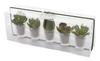 Kishima CT Catalyst Deodorizing Artificial Green Little Succulent Family KH-60989