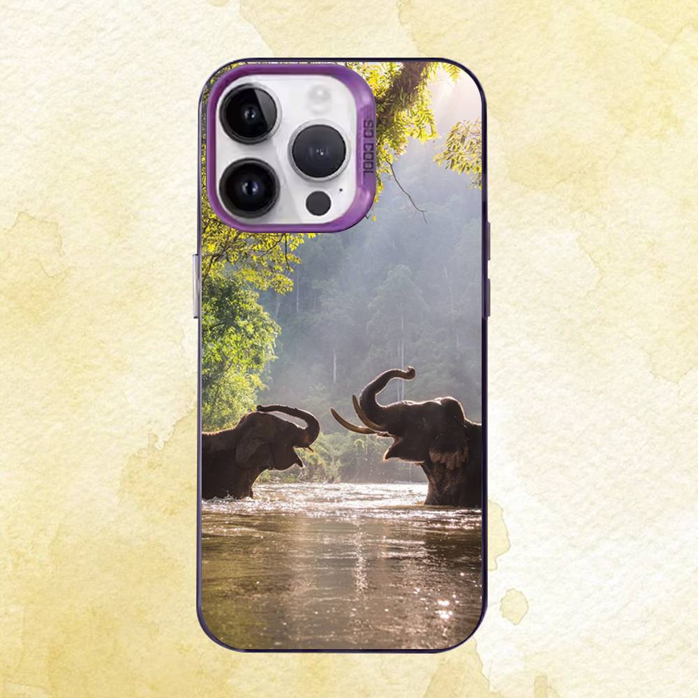 Funny Animals Case for iPhone 11 12 13 14 15 16 17 Pro Max XS X XR Cover