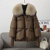 Winter New Fur Collar Puffer Down Parka Loose Down Warmer Thicken Snow Jacket Pocket Zipper Faux Fur Outerwear Female