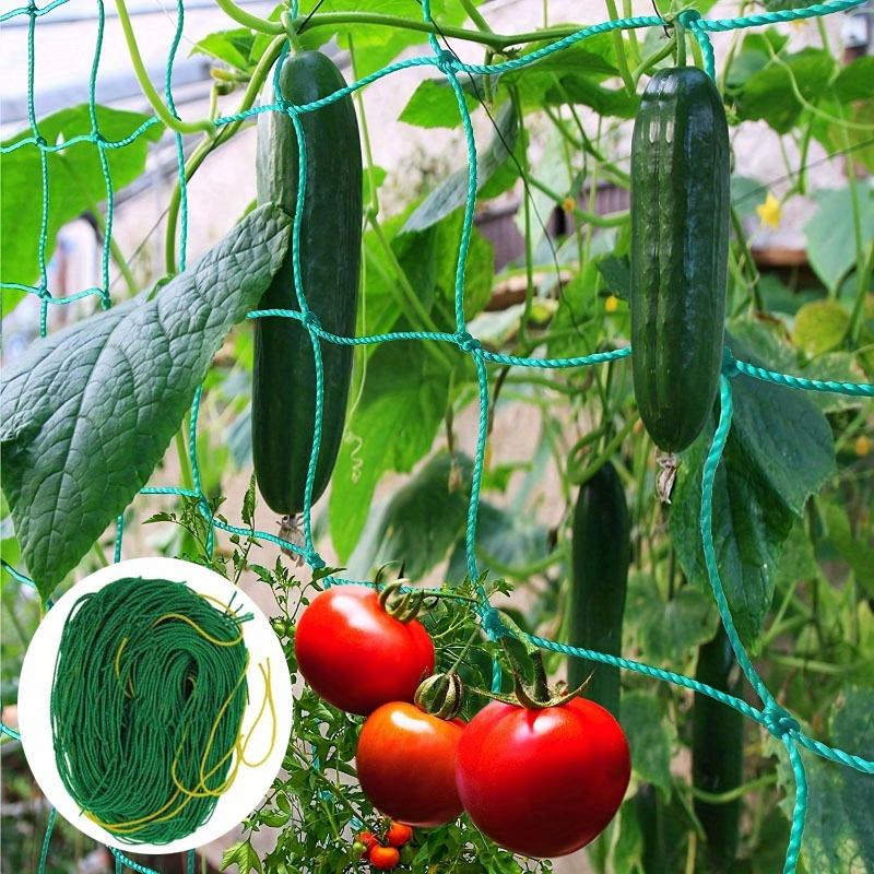 1pc Plant Climbing Net, Trellis Netting For Climbing Plants, Planting Supplies & Tools