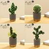 Creative Wooden Basin with Artificial Green Plant Bonsai Ornament for Display and Decoration.