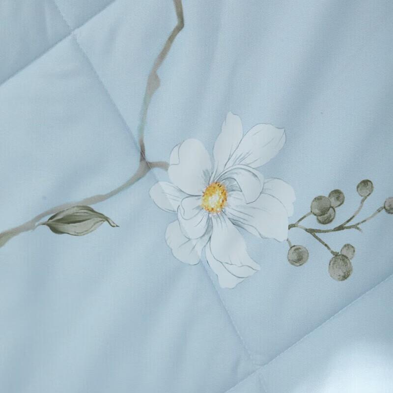 Mengjie Lan Xin Refreshing Summer Quilt