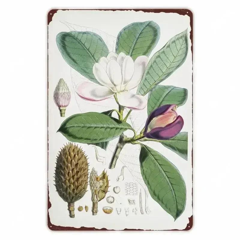 Retro Vegetable Plants Poster Vintage Fruits Metal Tin Sign Cauliflower Wall Art Sign Garden Kitchen Farm Flowers Plate Decor