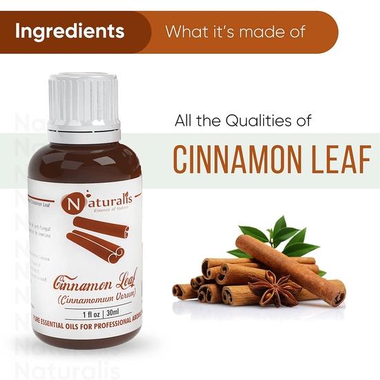 Naturalis Cinnamon Oil - Organic Cinnamon Essential Oil for Aromatherapy, Skin Care & Hair Growth - Therapeutic Grade Natural Oil - 30ml
