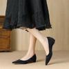 Y 2999-1 not tired feet pointed black women spring and autumn 2025 new workplace women shoes temperament single shoes women