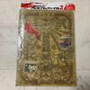 Used Pokemon Card NEO Premium File 2