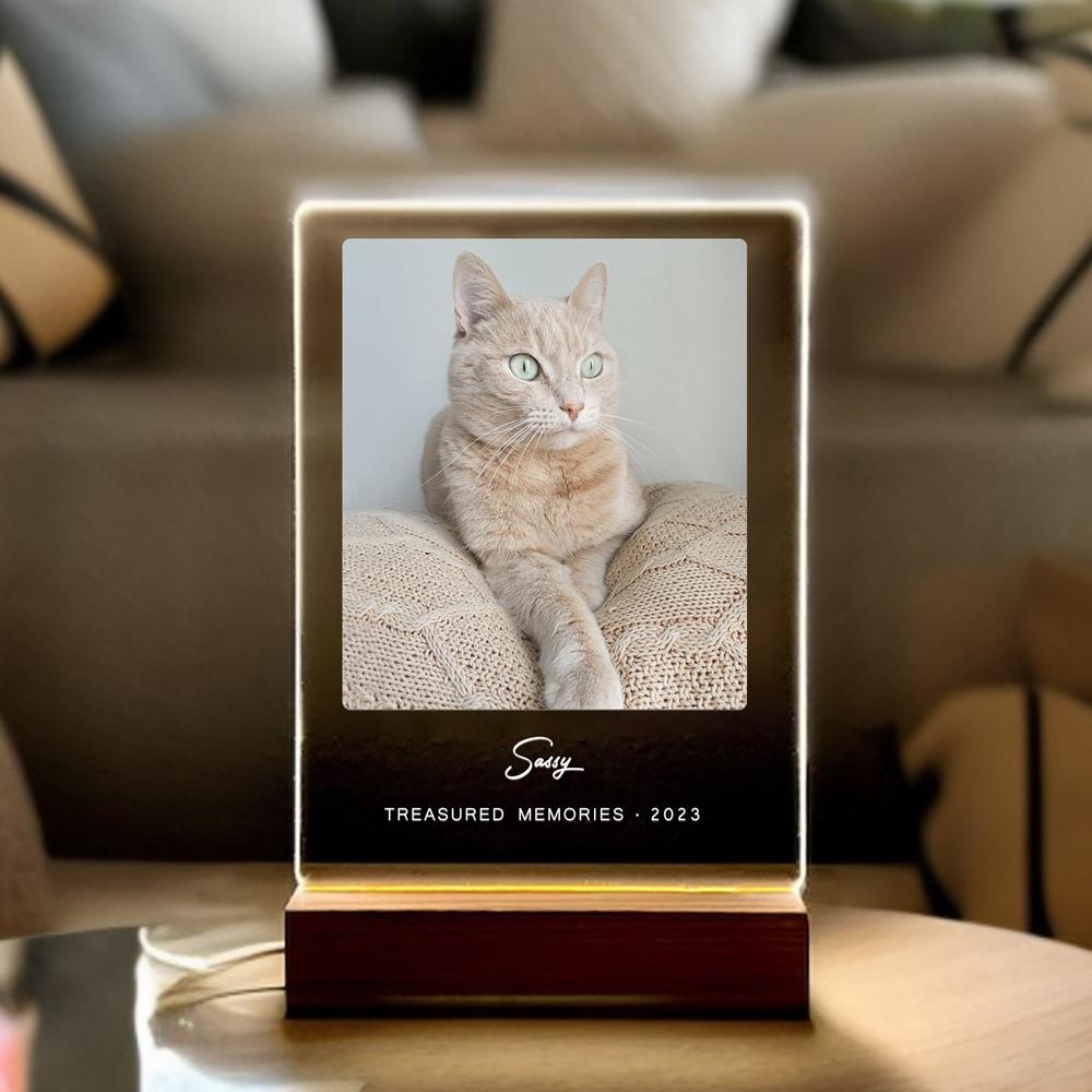 Personalized Pet Memorial Plaque with LED Light Custom Dog Cat Photo Light Up Keepsake Gift for Pet Dog Cat Lovers