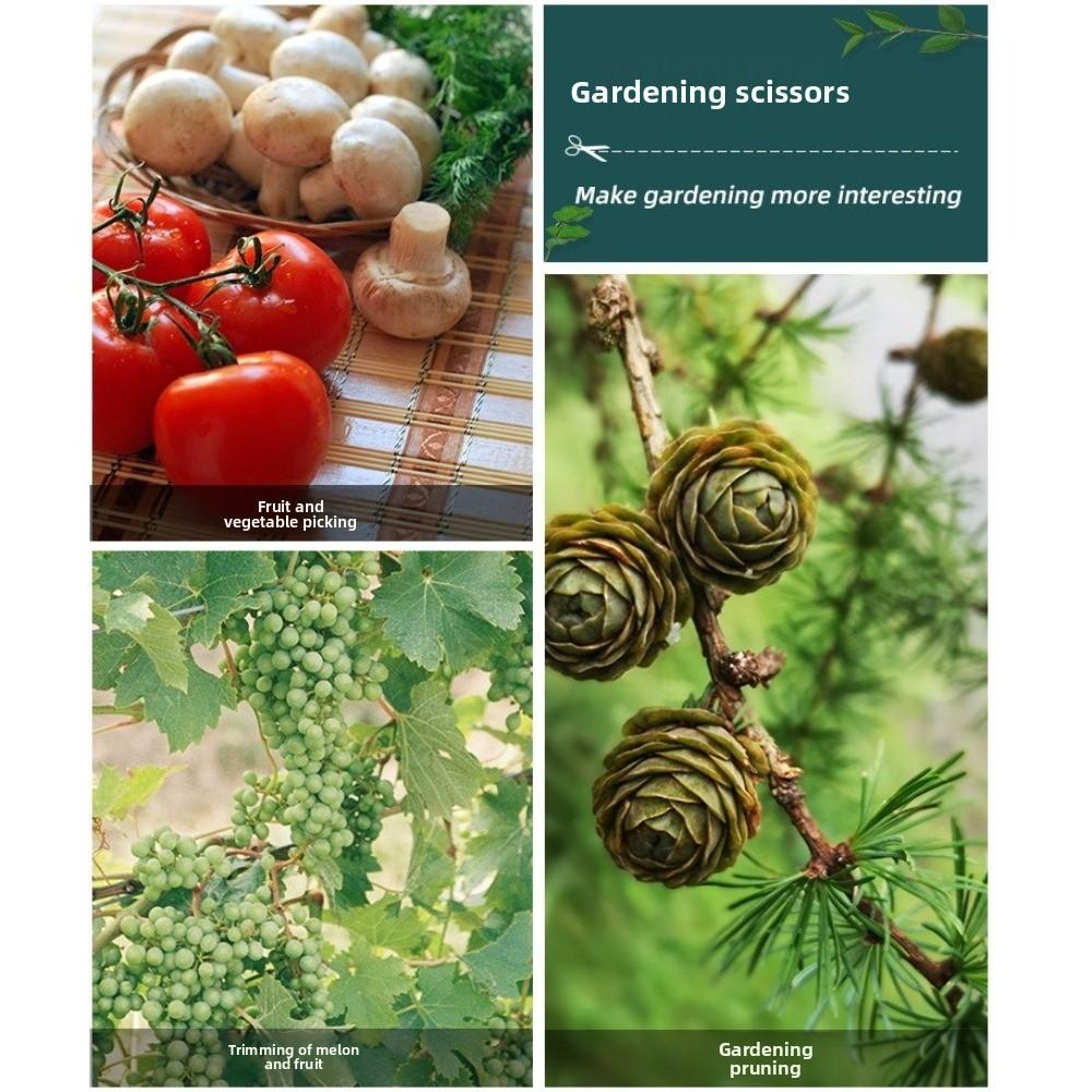 Edelstahl Geradkopf Gartenschere 190mm Bonsaischere Beschneidewerkzeuge Pflanzenschnitt