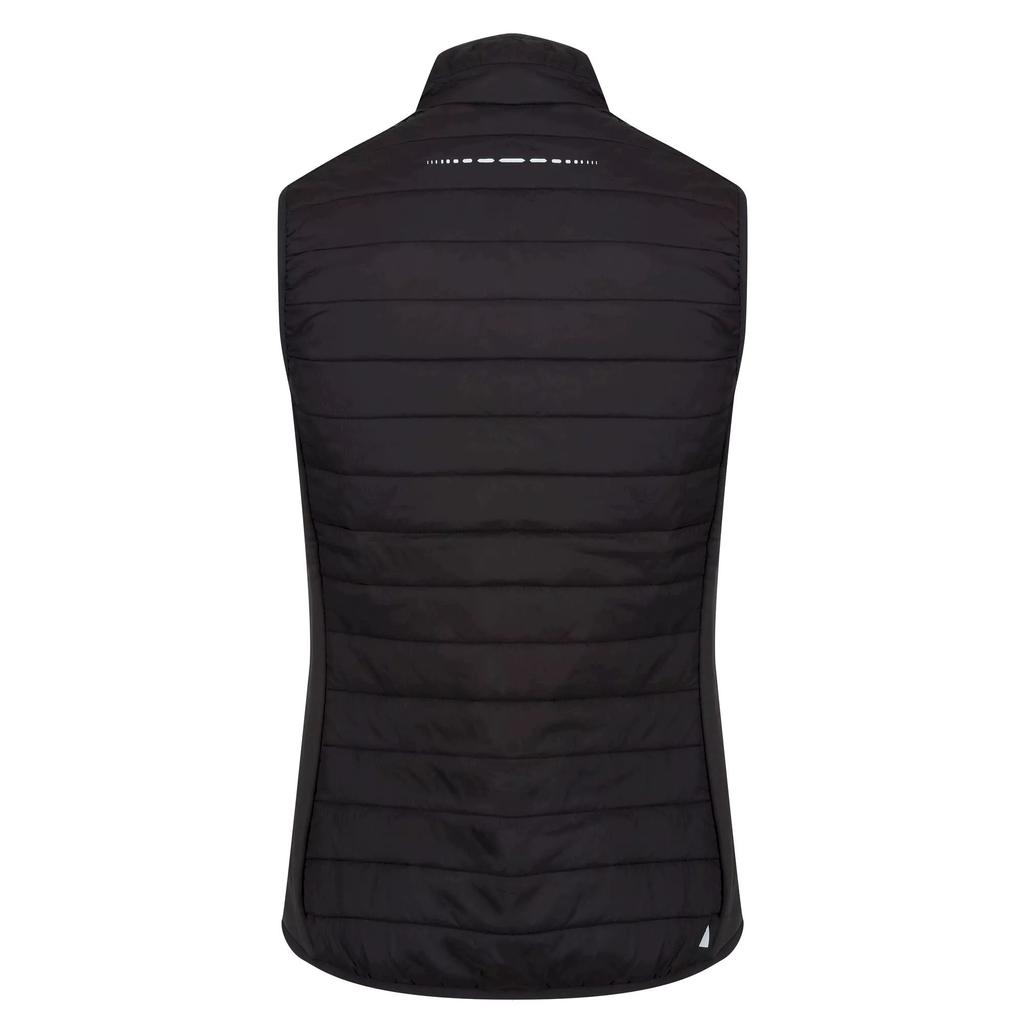 Regatta Womens/Ladies Halton V Softshell Body Warmer