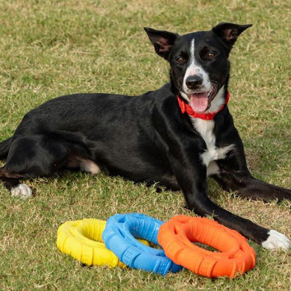 Bite Resistant Interactive Dog Toys Teeth Grinding Pet Pull Toy Durable Dog Pull Ring Toys  Dogs