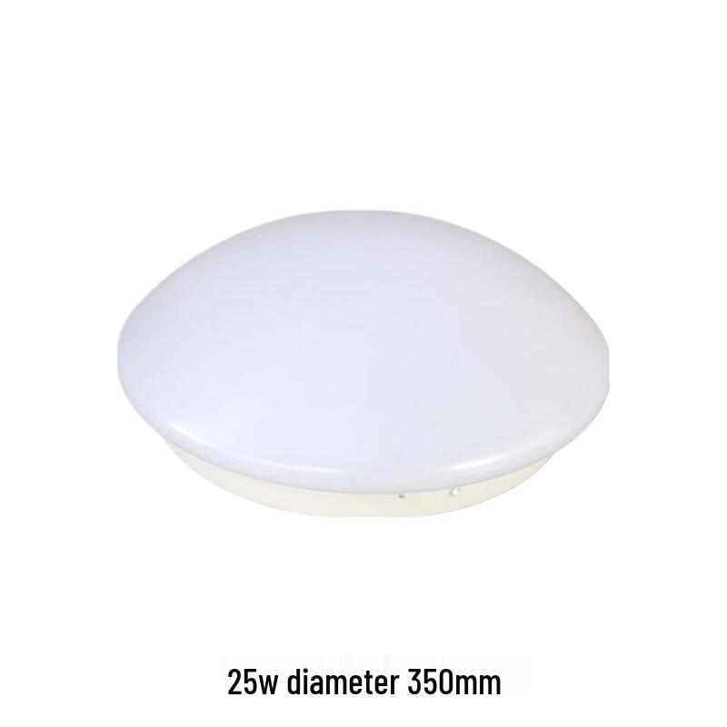HNYH LED Ceiling Light