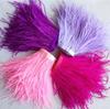 Feather1Meter Dyed Ostrich Feathers Trim Ribbon 8-10cm 10-15cm Feather Fringe for Crafts Wedding Dress Clothing Selvage Accessories