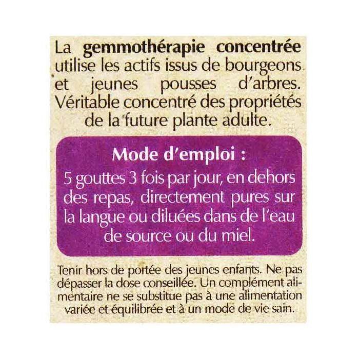 Herbalgem Complexe De Gemmothérapie Transigem Transit Intestinal Bio 30ml