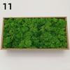 Neue 50/30/10g Künstliche Grüne Pflanzen Ewiges Leben Moos Gras Heim Garten Dekoration Mini Landschaft Künstliche Blume DIY Bastelgeschenke