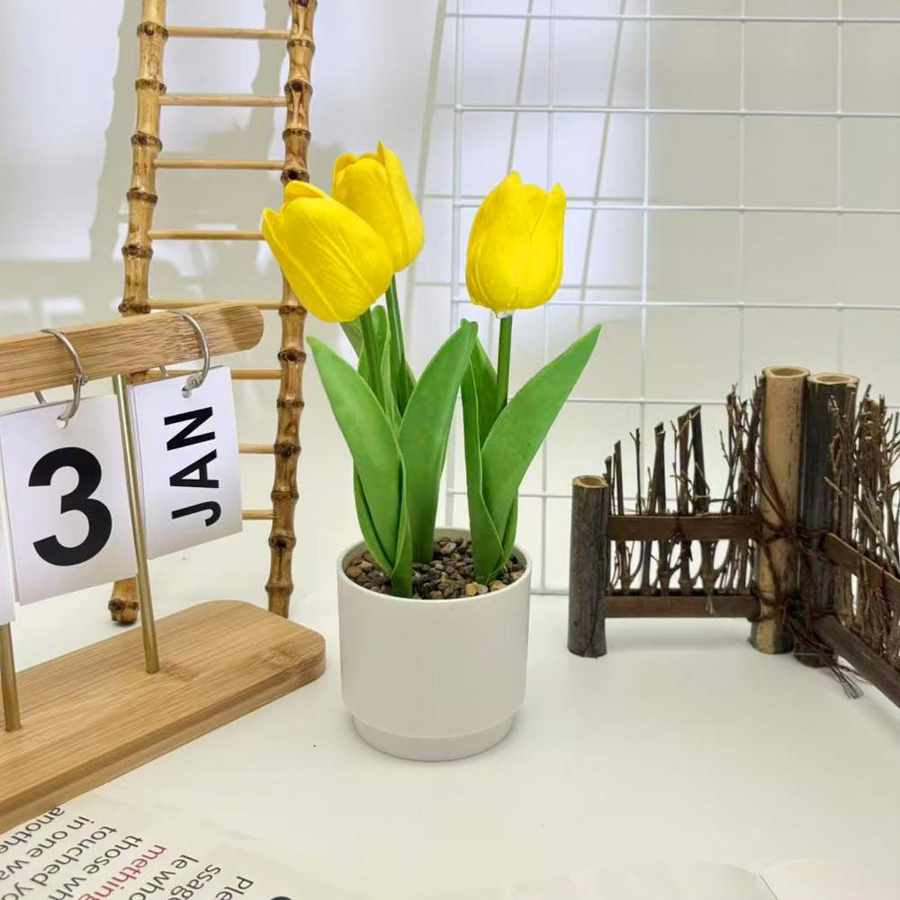 Tulpenblume Grüne Pflanze Flusssteine Bonsai Für Fotografie Und Bürodeko