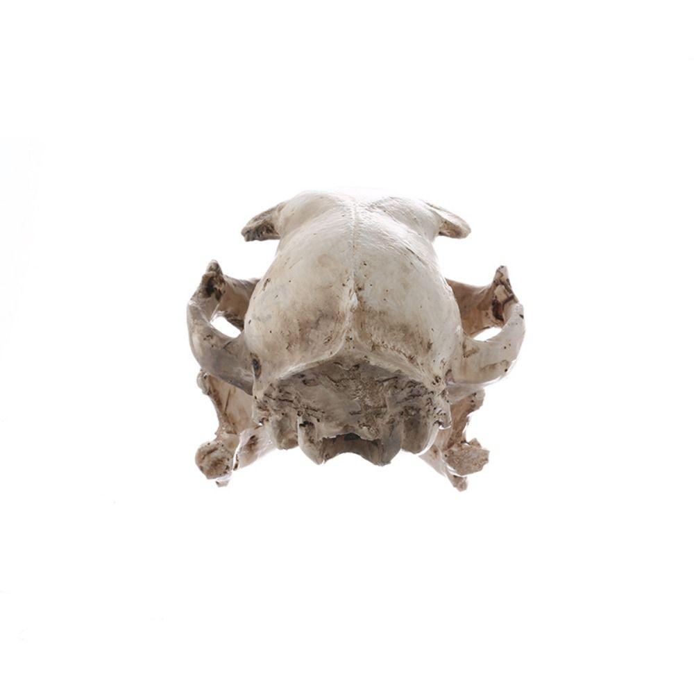 Funny Animal Skull Ornament Scary Artificial Skull Head Halloween Cat Skull Model Haunted House