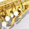 YAMAHA Alto Saxophone Standard YAS-480