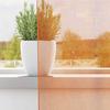 VidaXL Rideaux en voile avec boucles 2 pcs orange 140x260 cm, rideau en filet, rideau transparent, voile de fenêtre, 4102285