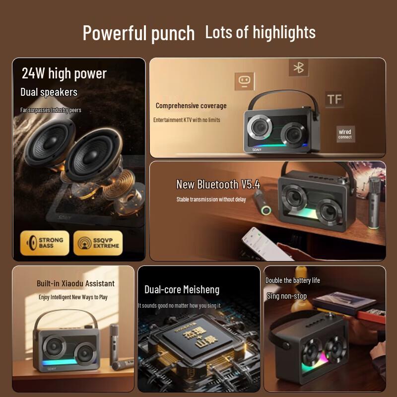 Soaiy SH06 Portable Bluetooth Karaoke Speaker with Dual Microphones (CN version)