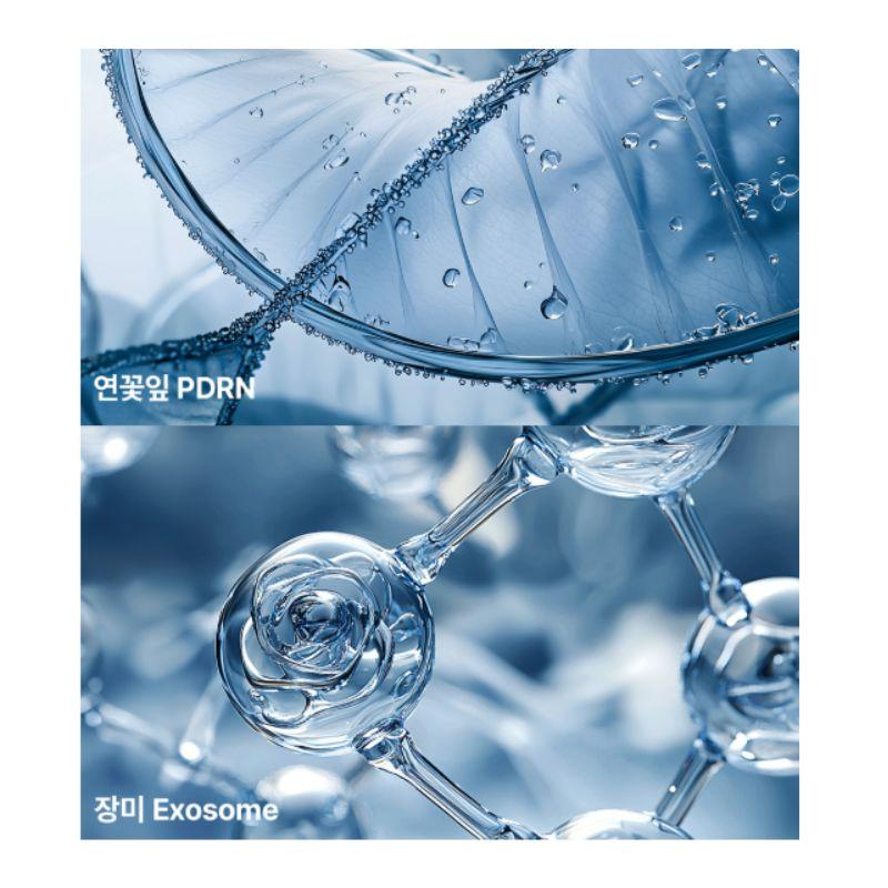 MEDI-PEEL Water Tox PDRN Exosome Ampoule Skin Repair & Hydration Boosting Serum 50ml