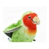 BH7254 HANSA Lovebird 13