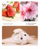8MP CCD HD Digital Camera for Students & Kids, 64MP Photo, Home Video Camcorder