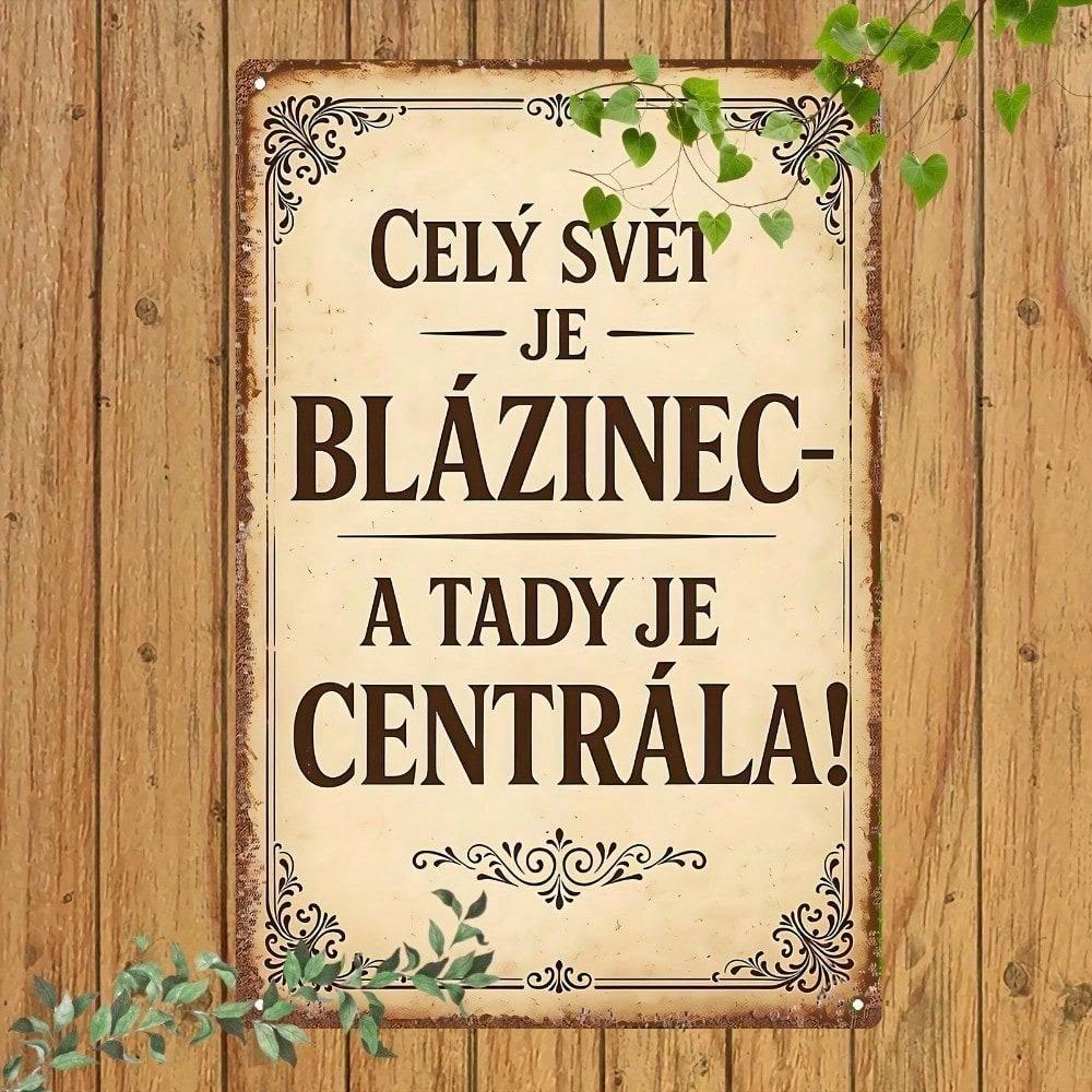Vintage Czech Slogan Metal Wall Art Humorous Life Quotes Retro Industrial Tin Sign 7.87x11.81in
