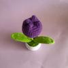 Handmade Crocheted Tulip Potted Plant Ornament - Ideal for Desktops, Cars, and Teacher's Day Gifts