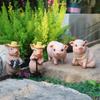 Creative Garden Pig Ornament: Resin Animal Decoration Gift
