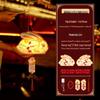 Baizi'en Mid-Autumn Festival DIY Luminous Handheld Lantern Kit